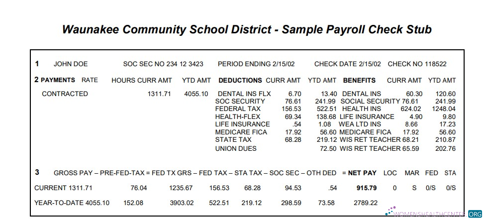 Download Waunakee Community School District payroll check stub Word and PDF template Photoshop template